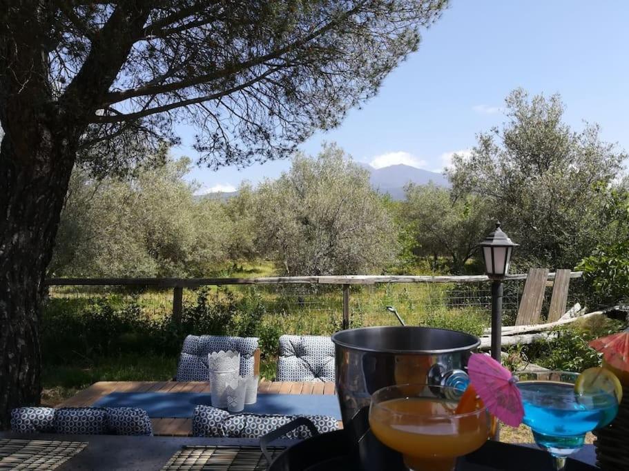 Villa Segreta, Mount Etna Бельпассо Экстерьер фото